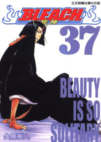 BLEACH 死神 37