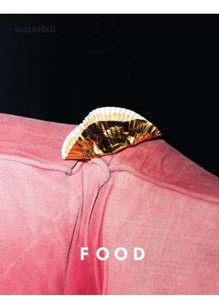 Waterfall：FOOD（內附中文別冊）