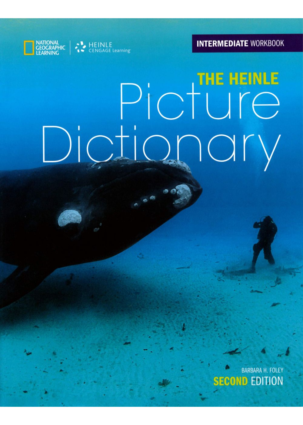 The Heinle Picture Dictionary Intermediate WB 2/e with Audio CDs/3片