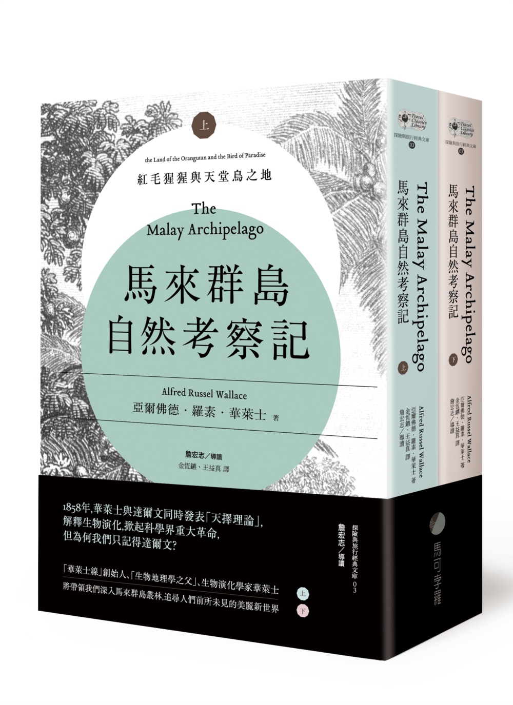 馬來群島自然考察記：紅毛猩猩與天堂鳥之地（上、下冊不分售）