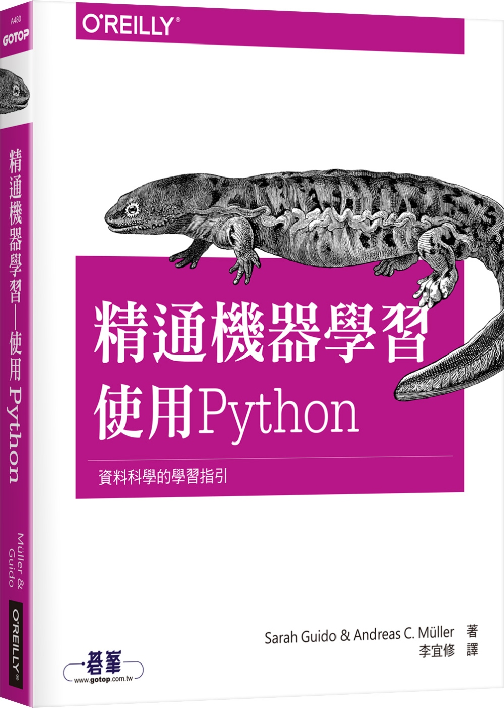 精通機器學習：使用Python