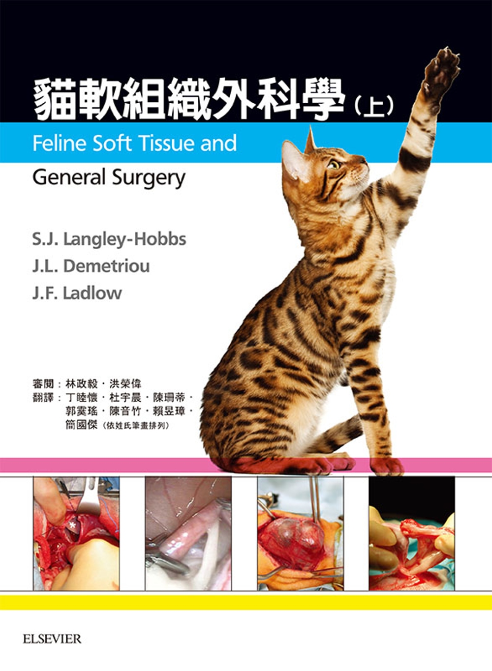 貓軟組織外科學（上冊）