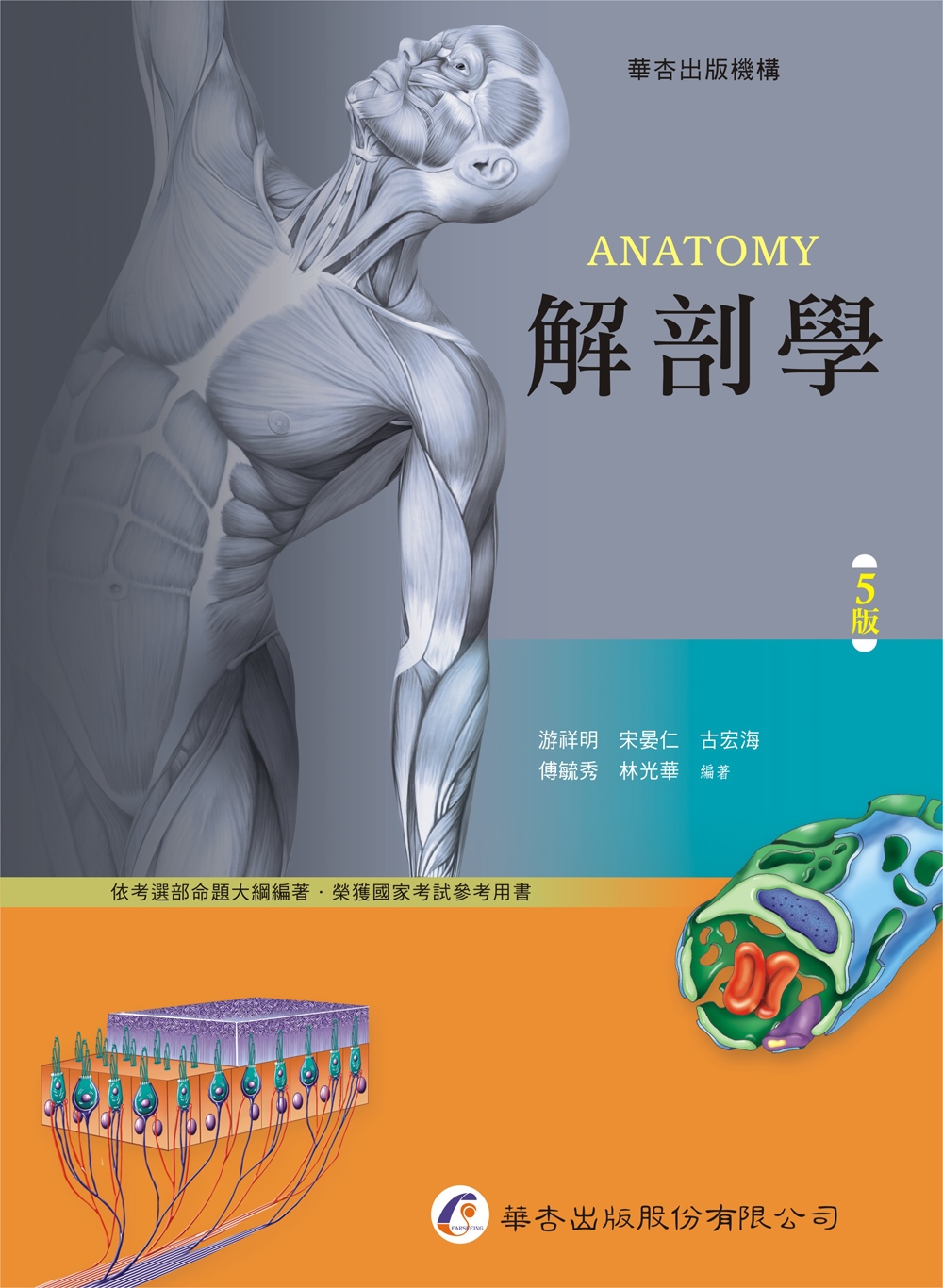 解剖學（5版）