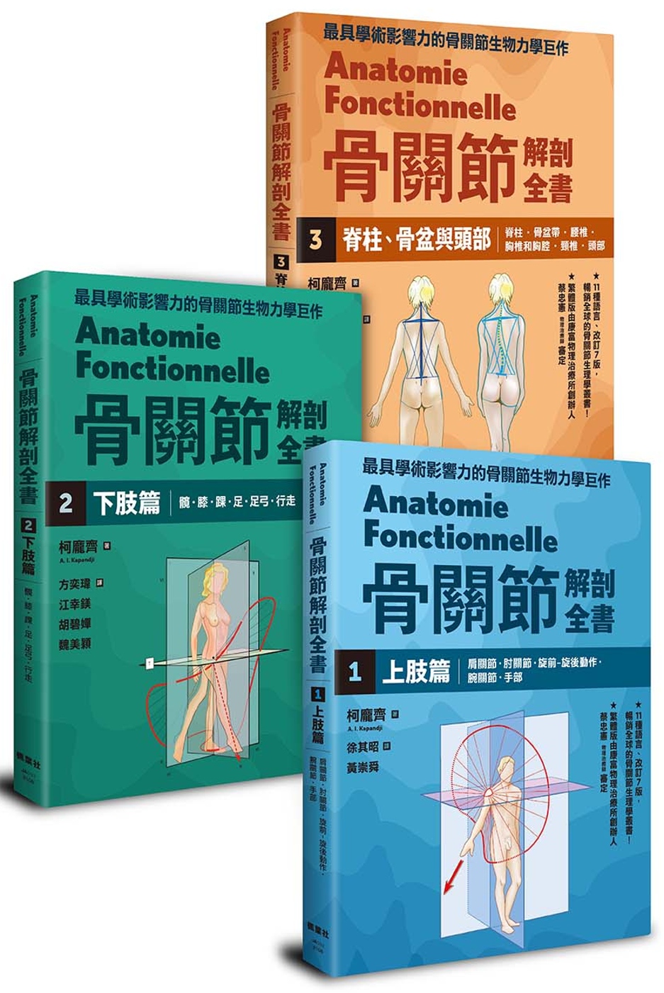 骨關節解剖全書套書（1-3，共三冊）