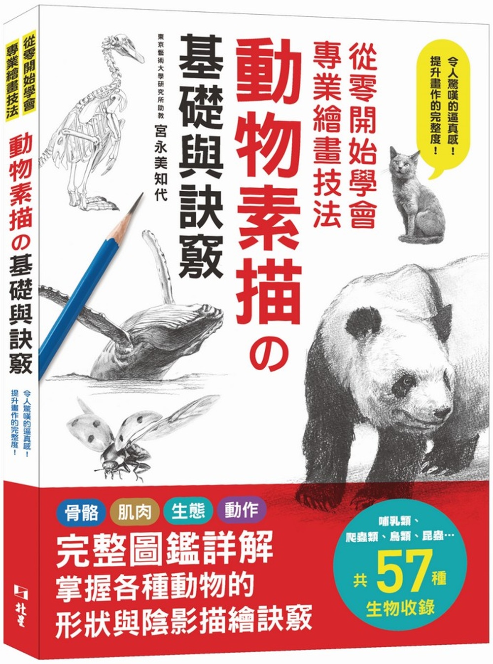 從零開始學會專業繪畫技法：動物素描の基礎與訣竅