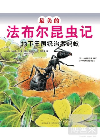 最美的法布爾昆蟲記︰地下王國統治者螞蟻
