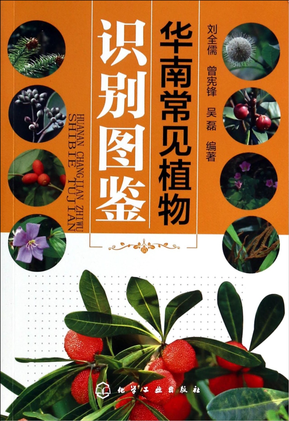 華南常見植物識別圖鑒