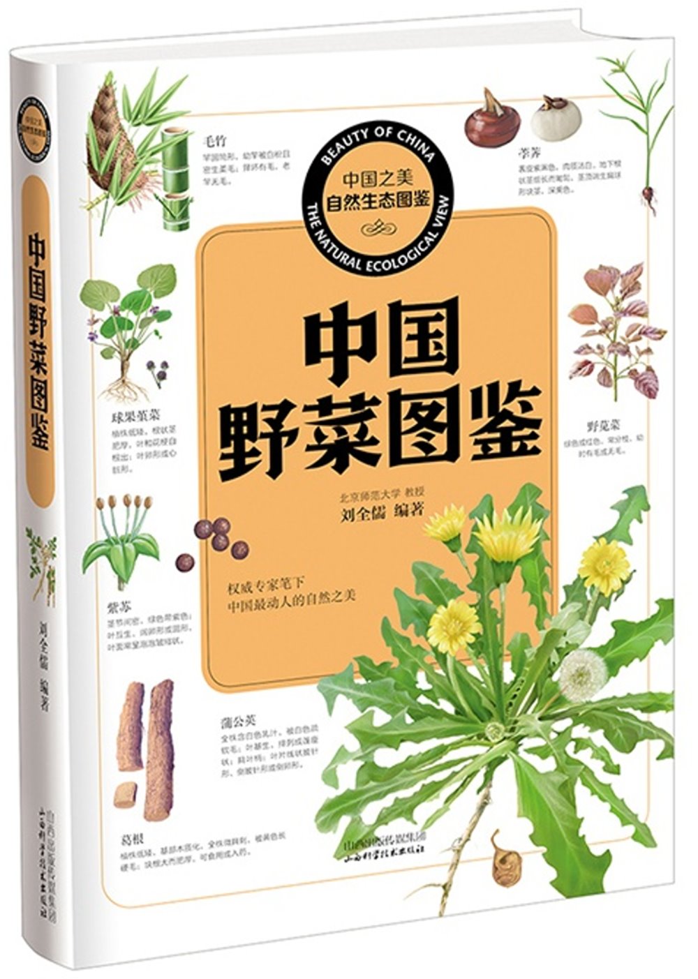 中國野菜圖鑒