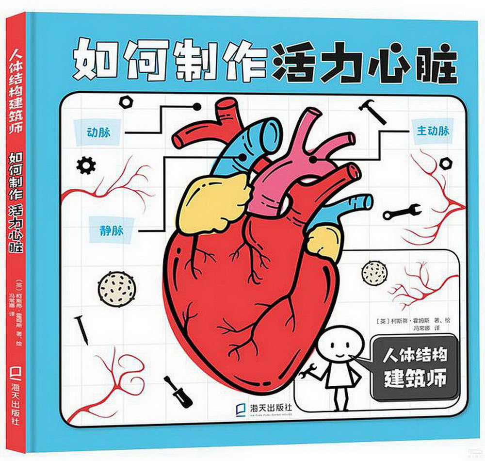 人體結構建築師：如何製作活力心臟