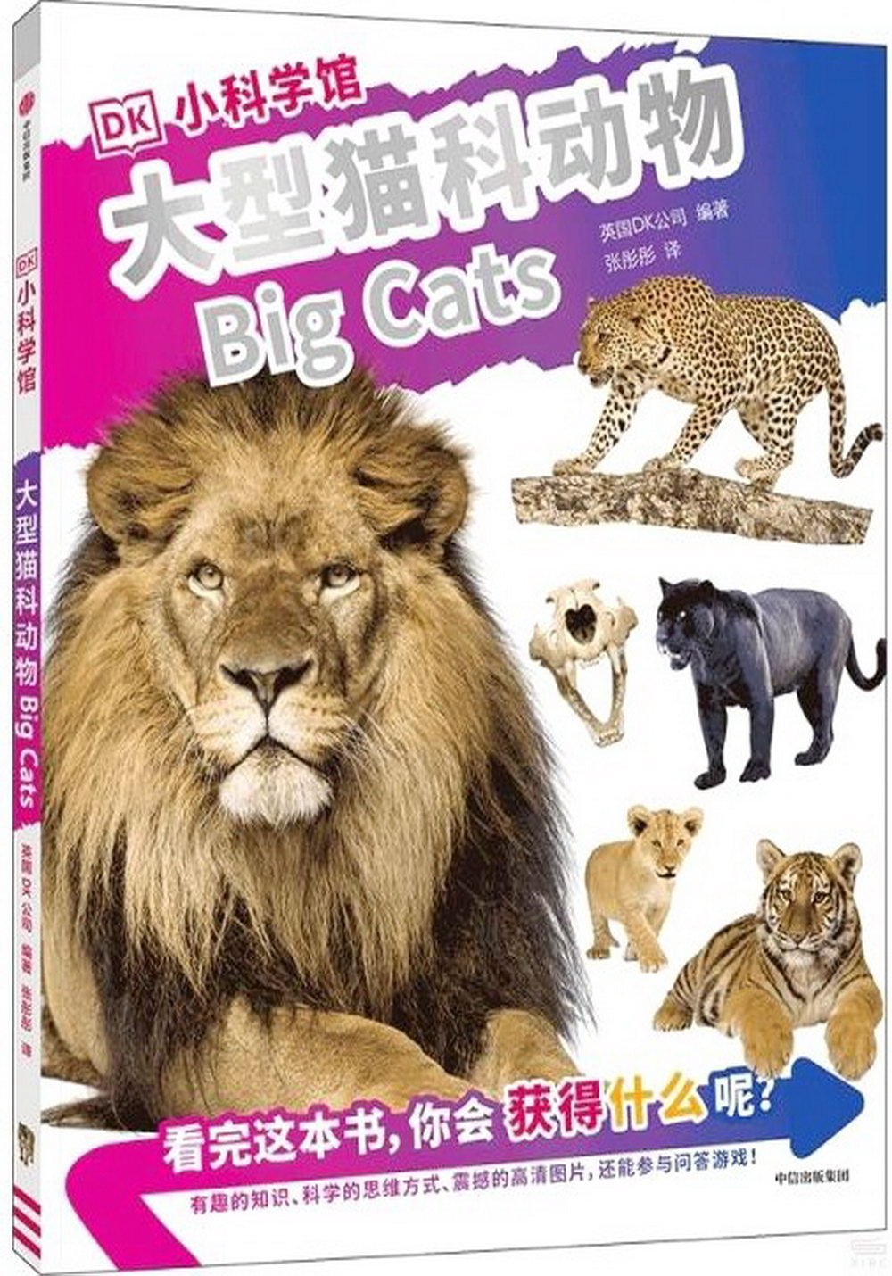 DK小科學館：大型貓科動物
