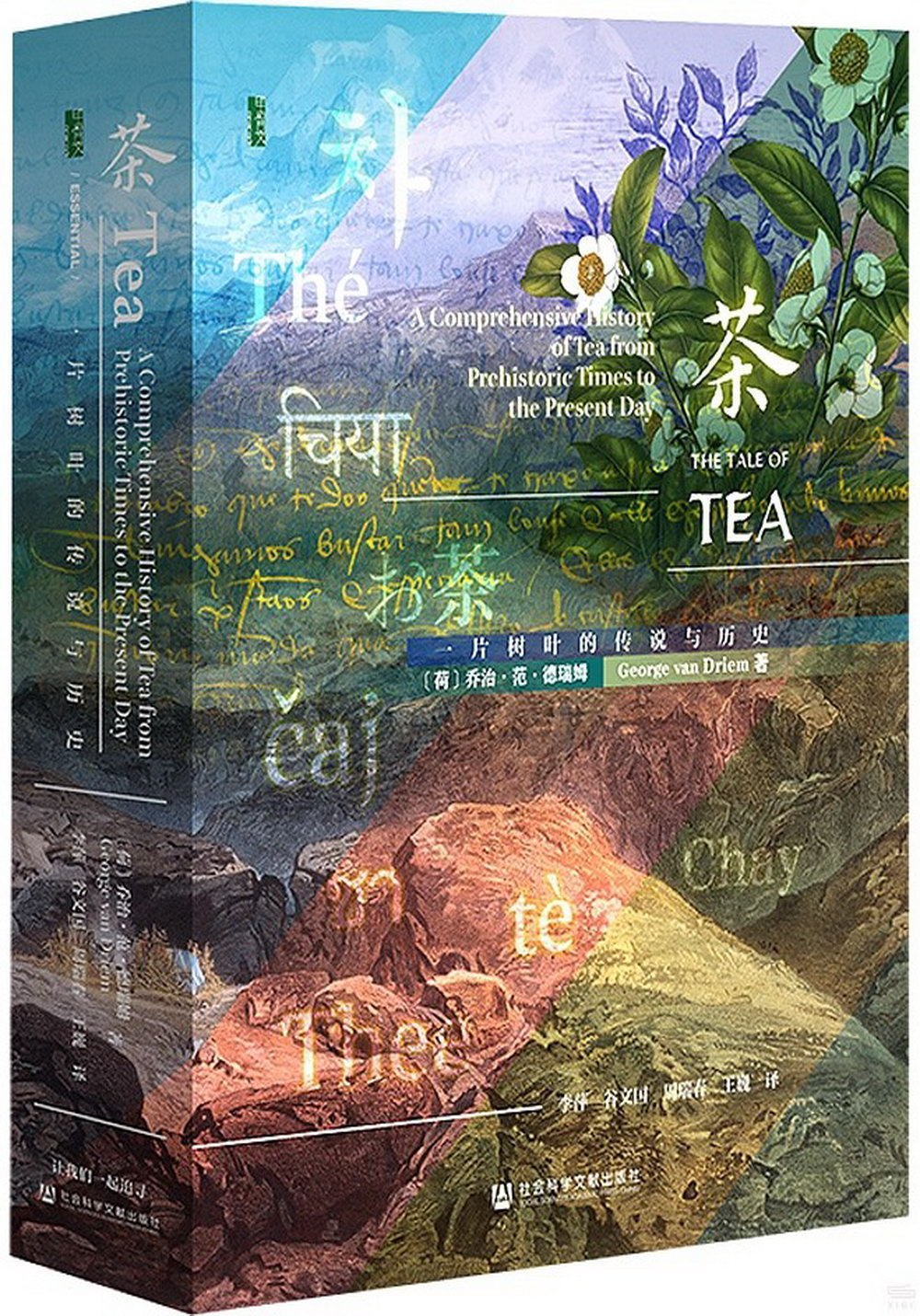 茶：一片樹葉的傳說與歷史
