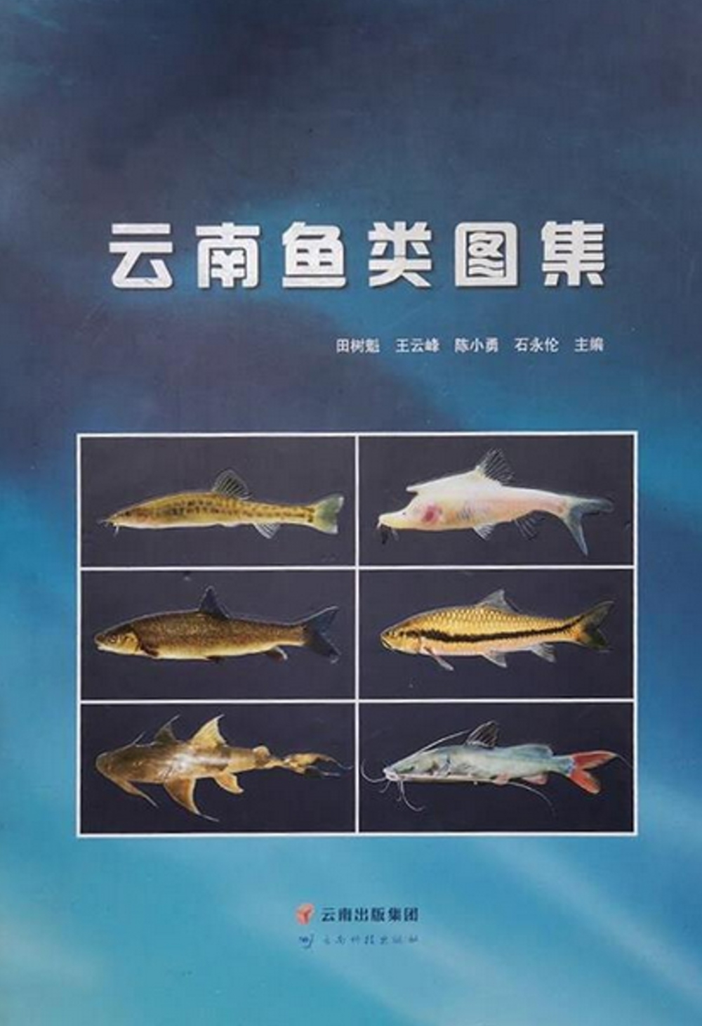 雲南魚類圖集