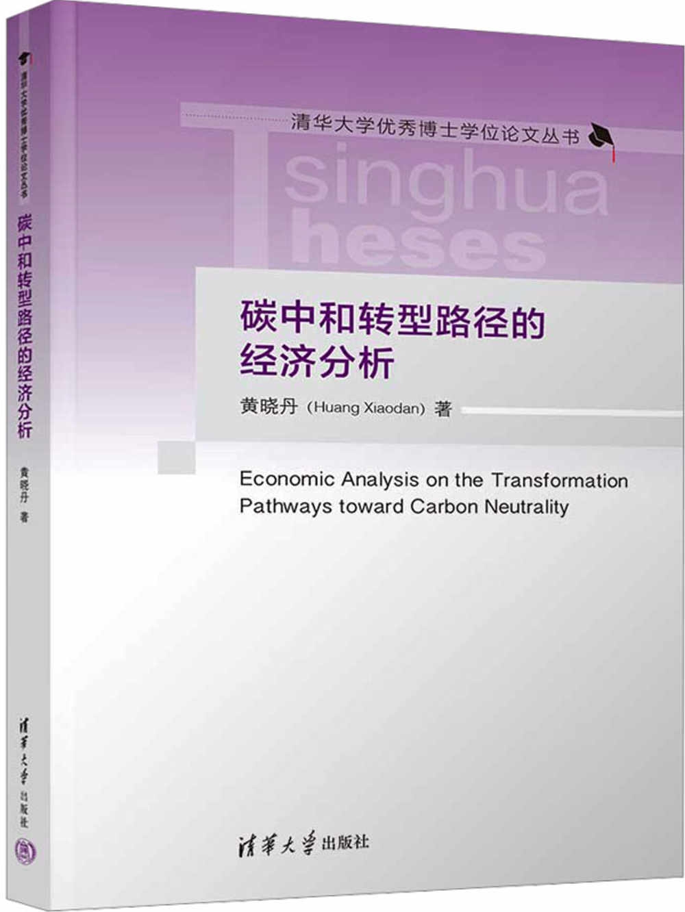 碳中和轉型路徑的經濟分析