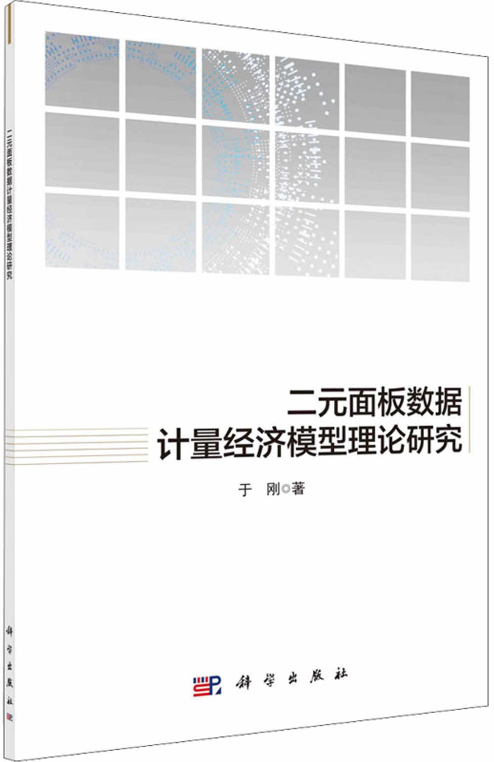 二元面板數據計量經濟模型理論研究