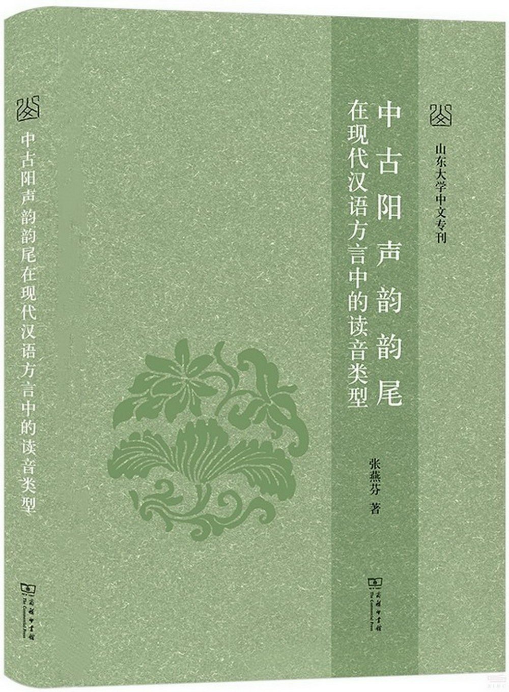 中古陽聲韻韻尾在現代漢語方言中的讀音類型