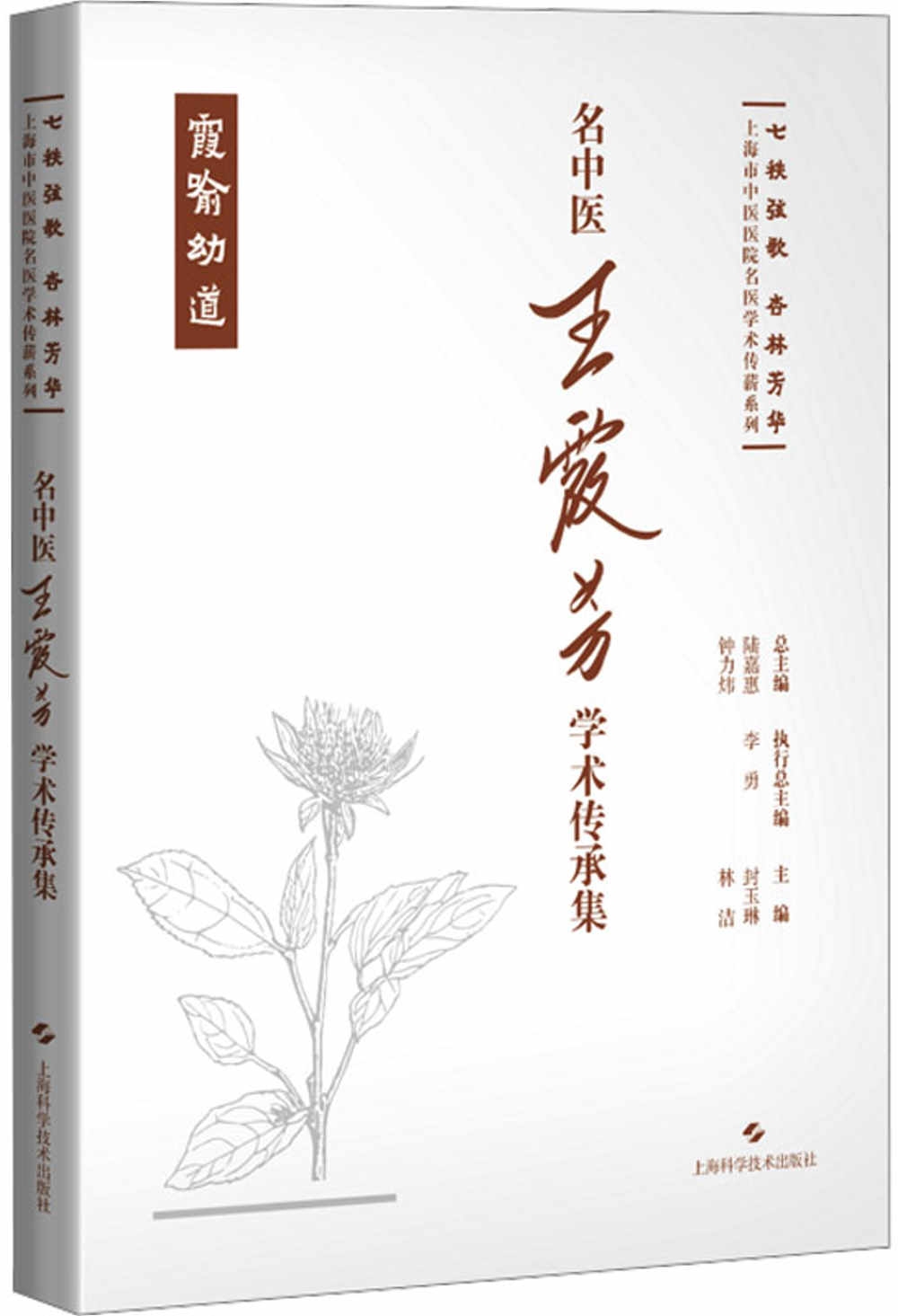 名中醫王霞芳學術傳承集