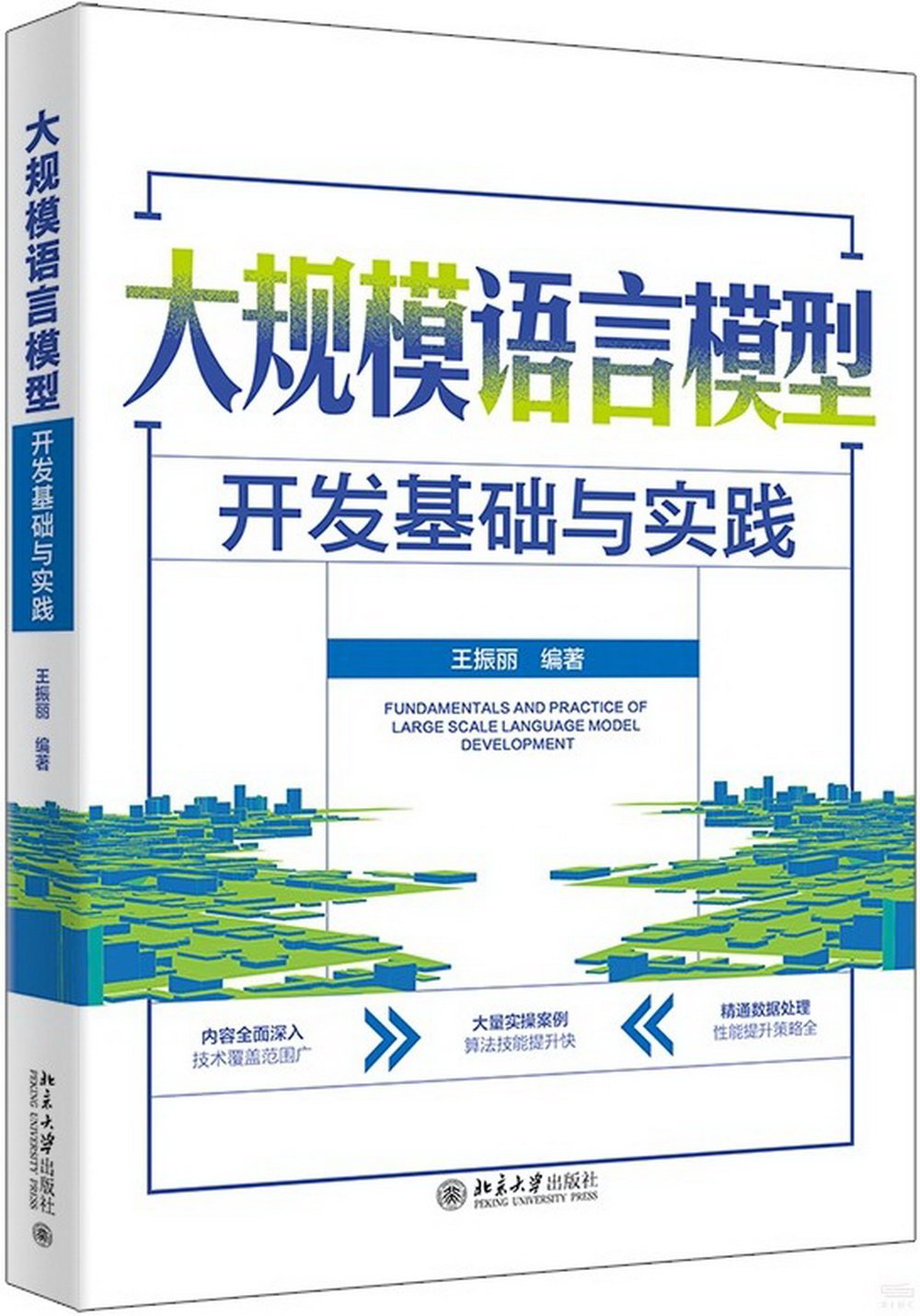 大規模語言模型開發基礎與實踐