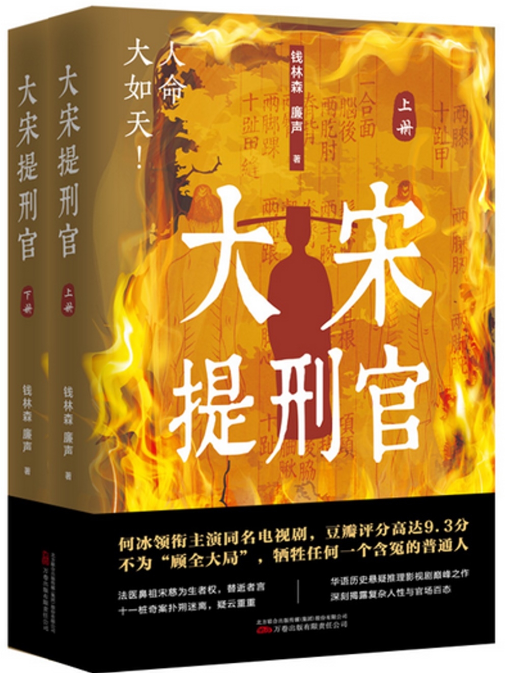 大宋提刑官(上下冊)