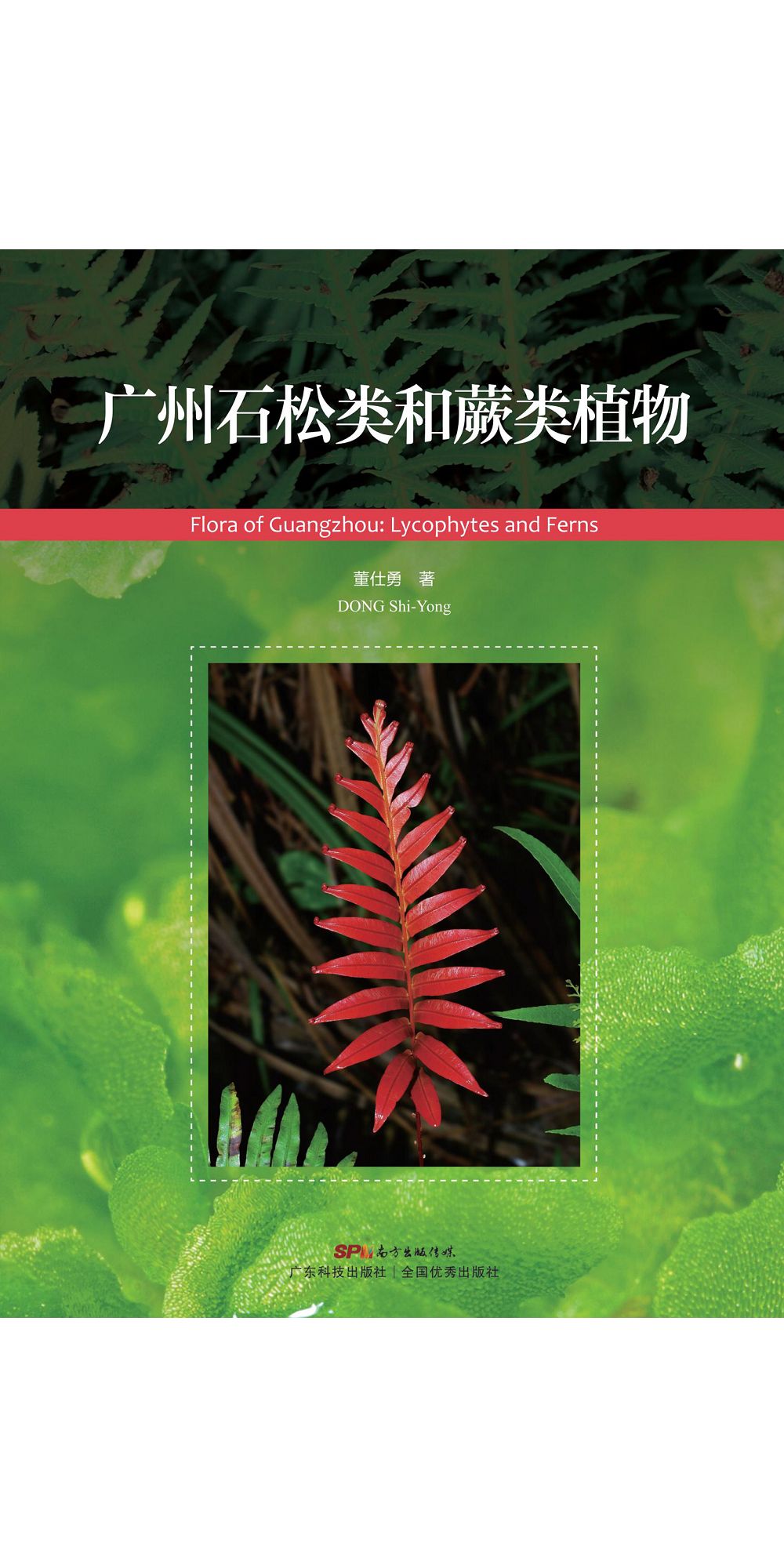 廣州石鬆類和蕨類植物 (電子書)