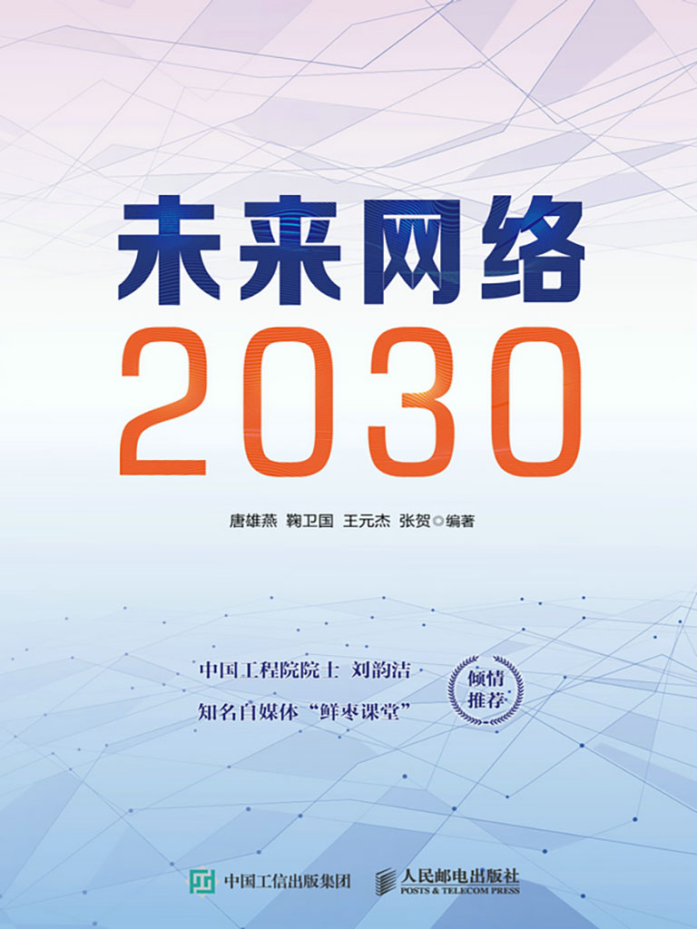 未來網絡2030 (電子書)