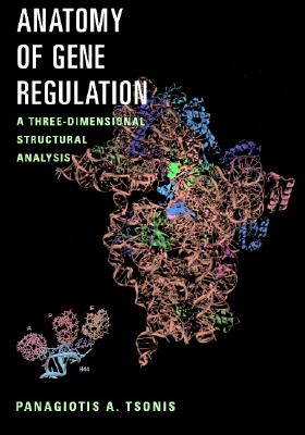 Anatomy of Gene Regulation: A Three Dimensional Structural Analysis