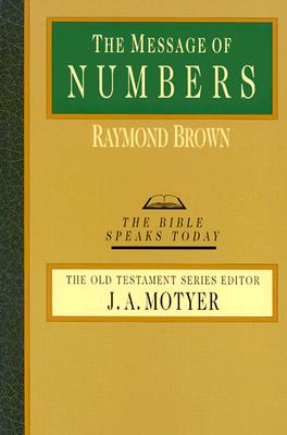 The Message of Numbers: Journey to the Promised Land