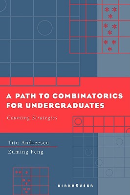 A Path to Combinatorics for Undergraduates: Counting Strategies