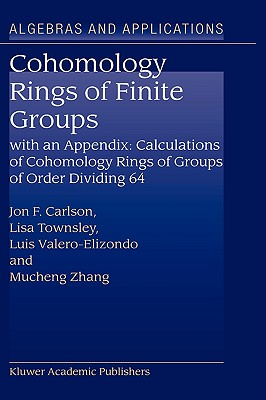 Cohomology of Rings of Finite Groups