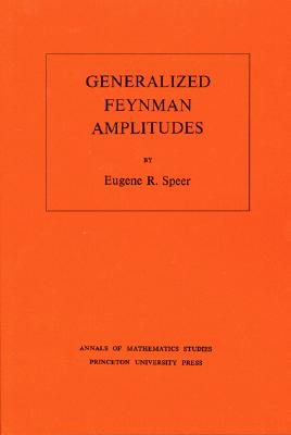 Generalized Feynman Amplitudes