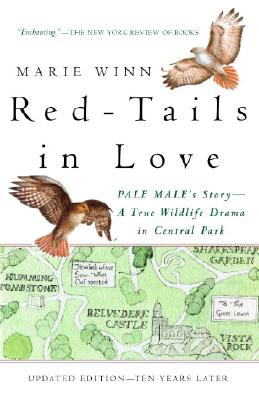 Red-Tails in Love: Pale Male’s Story--A True Wildlife Drama in Central Park