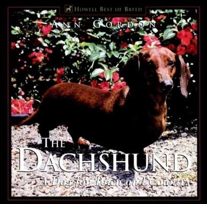 The Dachshund: A Dog for Town and Country