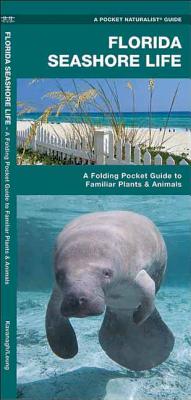 Florida Seashore Life: A Folding Pocket Guide to Familiar Animals and Plants