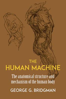 The Human Machine: The Anatomical Structure and Mechanism of the Human Body