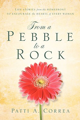 From A Pebble To A Rock