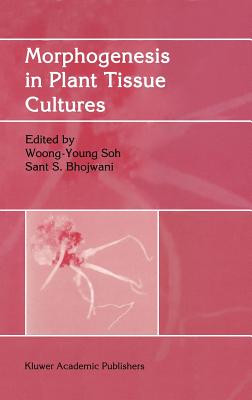 Morphogenesis in Plant Tissue Cultures