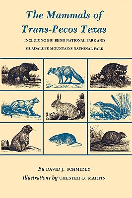 The Mammals of Trans-Pecos Texas: Including Big Ben National Park & Guadalupe Mountains National Park