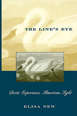 The Line’s Eye: Poetic Experience, American Sight