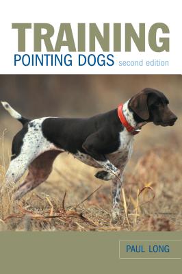 Training Pointing Dogs: All Answers to All Your Questions