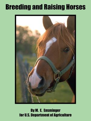 Breeding And Raising Horses