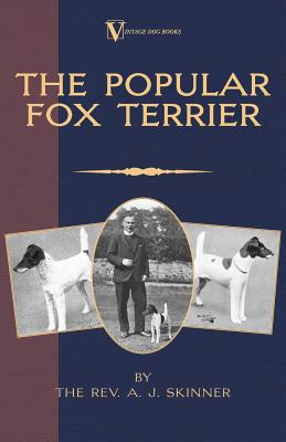 The Popular Fox Terrier