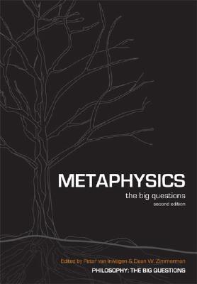 Metaphysics: The Big Questions