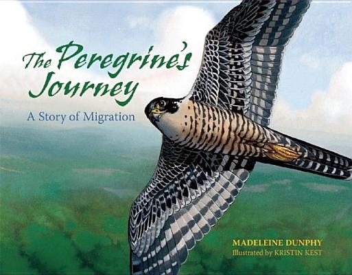 The Peregrine’s Journey: A Story of Migration