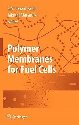 Polymer Membranes for Fuel Cells