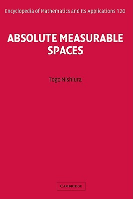 Absolute Measurable Spaces