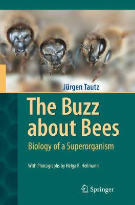 The Buzz about Bees: Biology of a Superorganism