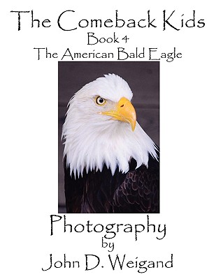 The American Bald Eagle