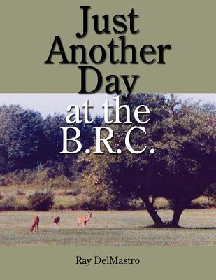 Just Another Day at the B.r.c.