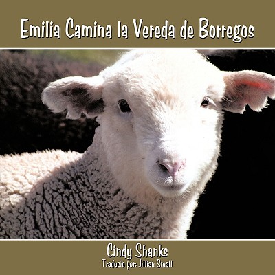 Emilia camina la vereda de borregos / Emilia walk the path of Sheep