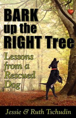 Bark Up the Right Tree: Lessons from a Rescued Dog