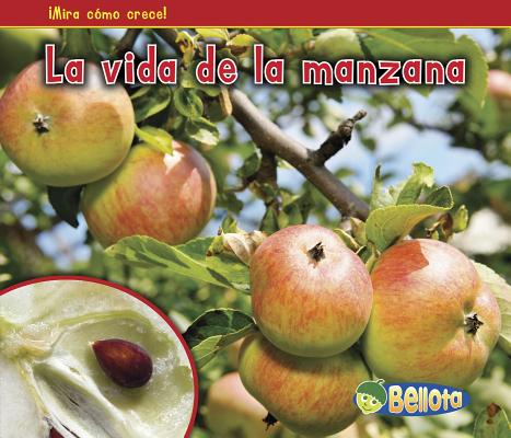 La vida de la manzana / An Apple’s Life